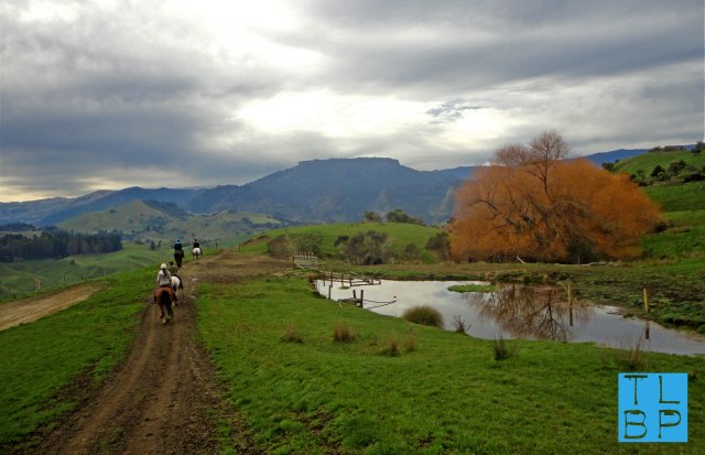 Horse Trekking in River Valley